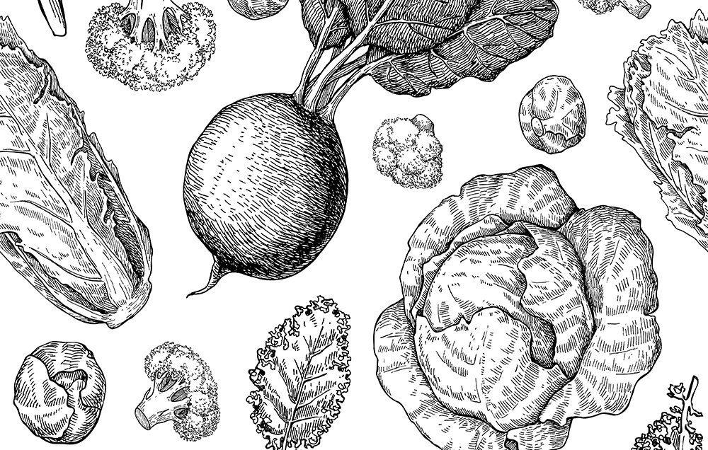 1000x636 I Went Vegetarian For A Month And This Is What Happened Prevention - Vegan Sketch