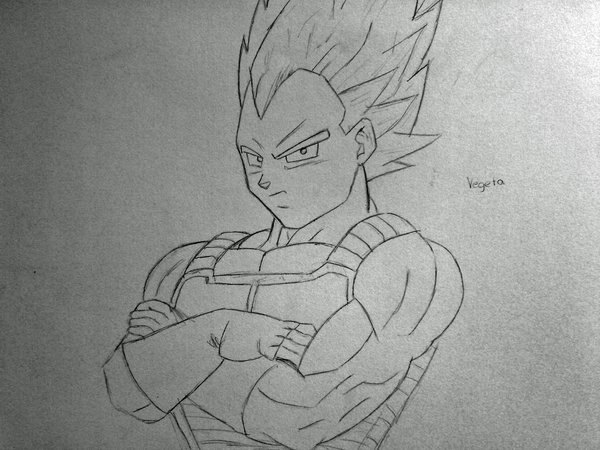 600x450 Dragonball Old Vegeta Sketch By Snowthegoon - Vegeta Sketch