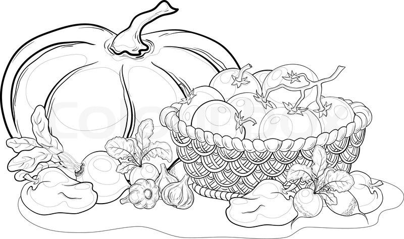 Easy Simple Vegetable Basket Drawing - Vegetarian Foody's