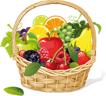 405x368 Vector Fruits Vegetables Drawing Free Vector Download (92,637 Free - Vegetable Basket Sketch