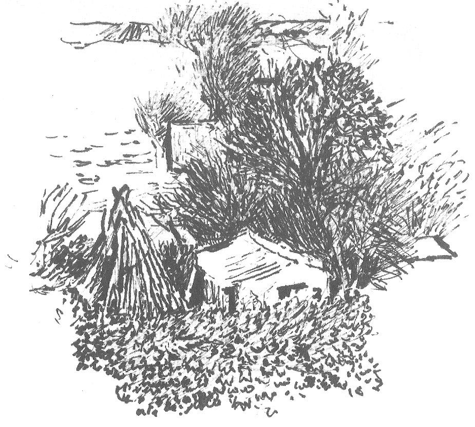 925x833 Sketch Of Vegetable Garden In Snow By Peter Davey Art - Vegetable Garden Sketch