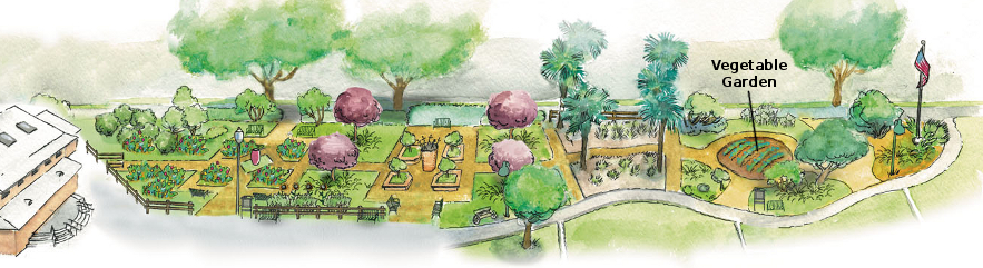 883x241 Vegetable Garden Welcome To Central Park Gardens In Davis - Vegetable Garden Sketch