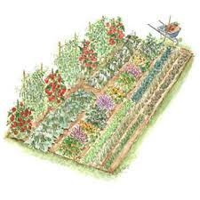 Vegetable Garden Sketch at PaintingValley.com | Explore collection of