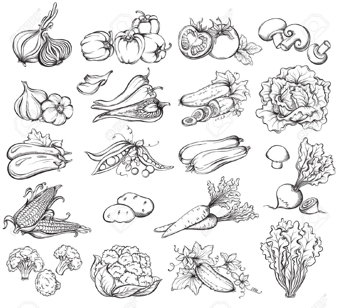 1300x1181 Image Result For Hand Drawn Vegetables Corn - Vegetable Sketch
