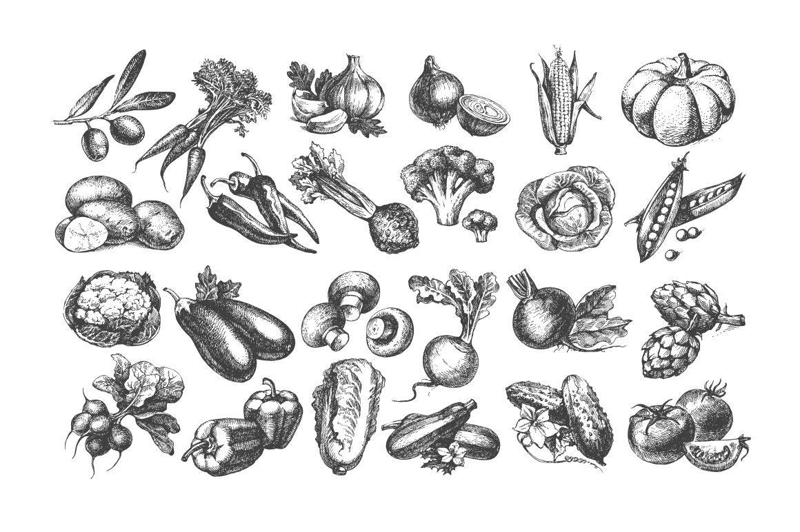 1160x772 Sketch Vector Vegetables Bundle Sale 50% By Elena Pimonova - Vegetable Sketch