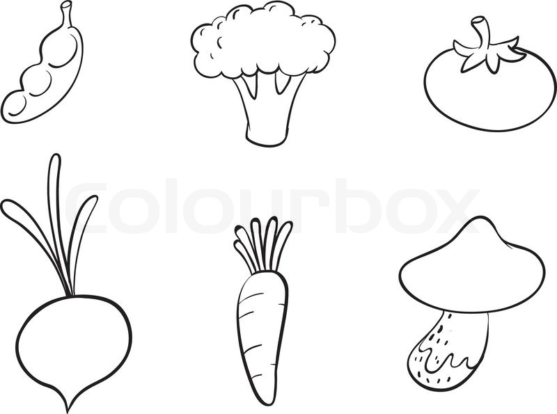 800x595 Sketches Of Vegetables Stock Vector Colourbox - Vegetable Sketch