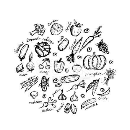 440x440 Vegetable Sketch Frame For Your Design Stock Vector - Vegetable Sketch