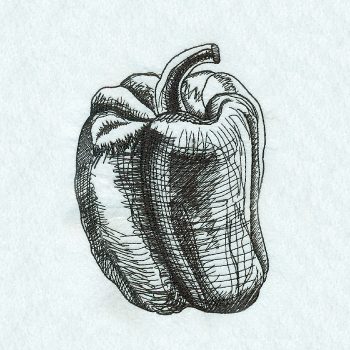 350x350 Vegetable Sketch Magic Stock Art - Vegetable Sketch