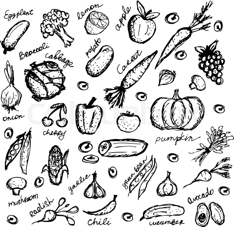 800x777 Vegetable Sketch Frame For Your Design. Vector Illustration - Vegetable Sketch