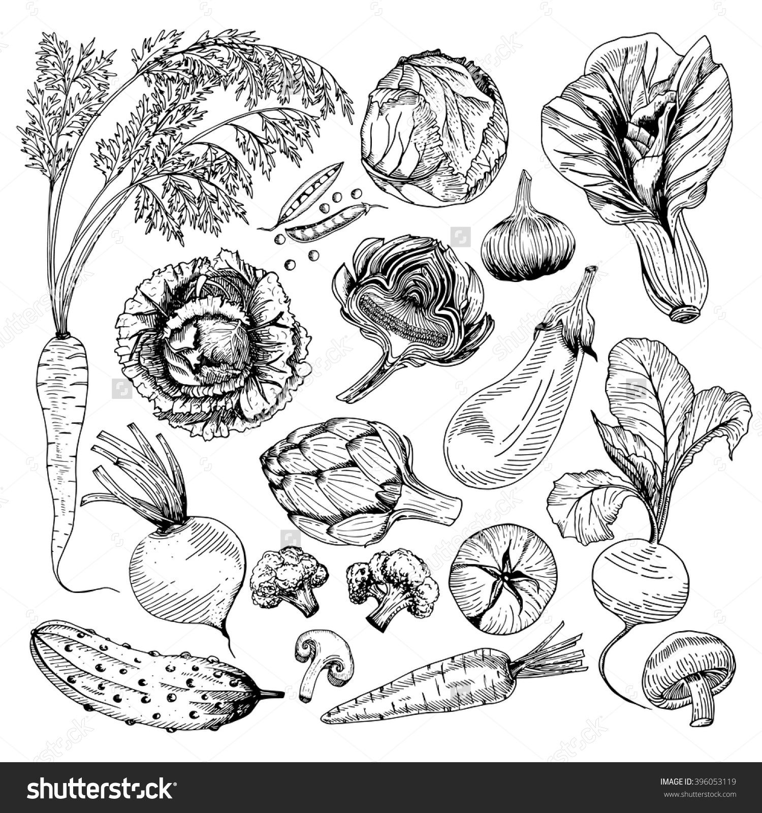 Vegetable Design Drawing - The Design Interior