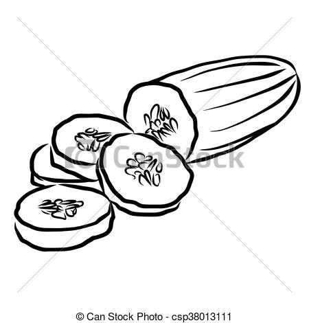 450x470 Cuke Sketch Vegetables Outline Vector Artwork, Hand Drawn Image. - Vegetable Sketch