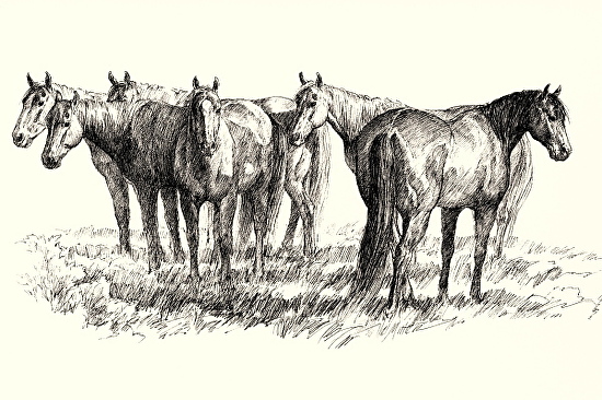 550x366 Vel Miller - Vel Miller Sketch