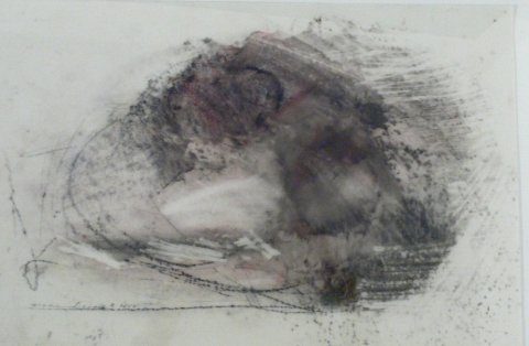 480x314 Madeline Denaro Works On Paper Vellum Drawings - Vellum Sketch