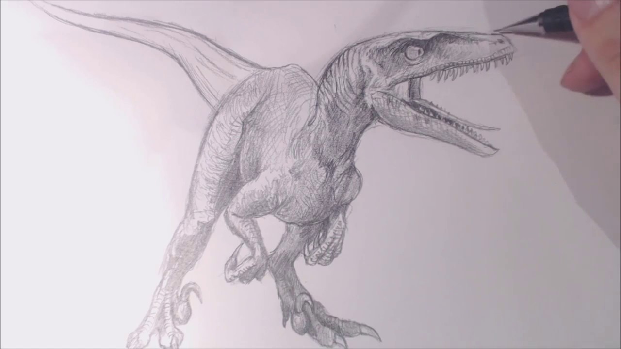 Raptor Blue Dinosaur Drawing