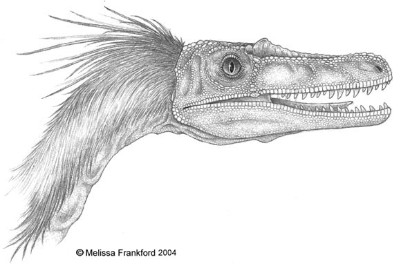 580x382 Velociraptor Sketch By Mmfrankford - Velociraptor Sketch