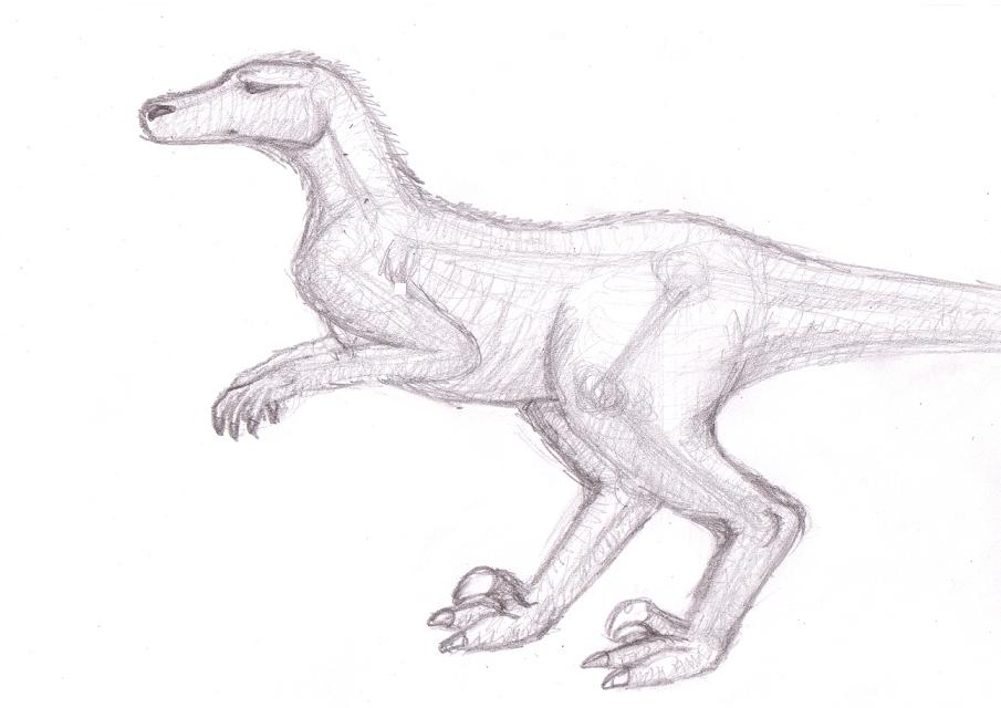 905x640 Velociraptor Sketch By Ahillamon - Velociraptor Sketch