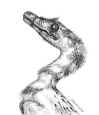 336x391 Vital Creations Velociraptor Sketch - Velociraptor Sketch