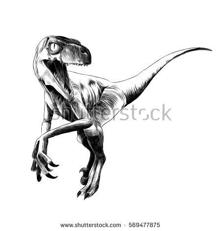 450x470 Dinosaur Velociraptor Sketch Vector Dinosaur (Especially Raptor - Velociraptor Sketch
