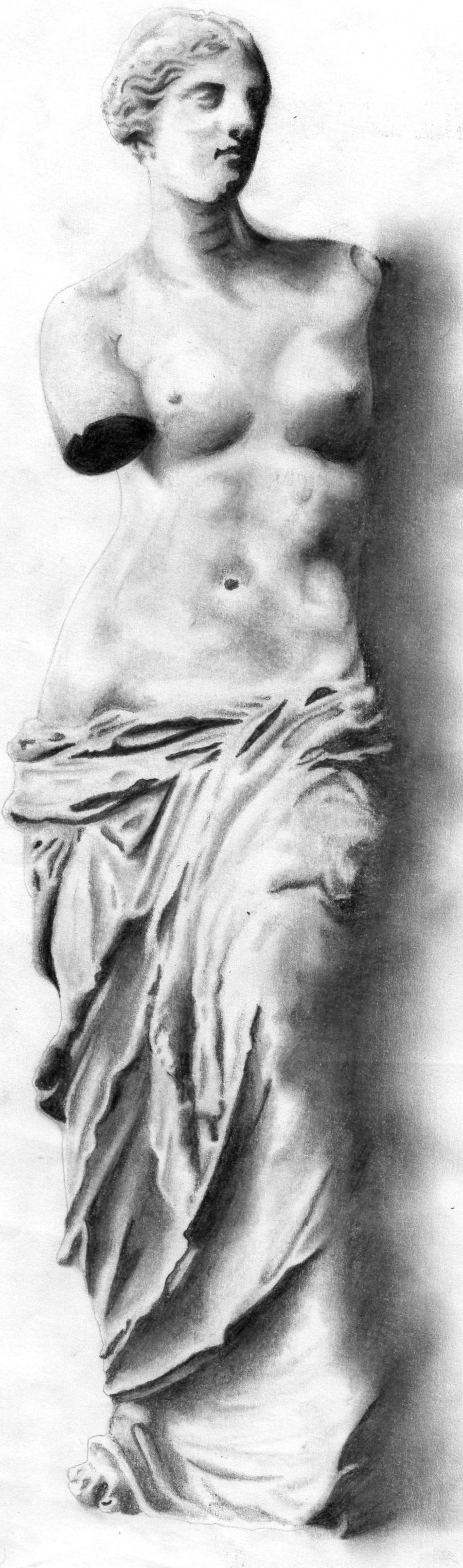 900x3046 Venus De Milo Sketch By Morgan444574 - Venus De Milo Sketch