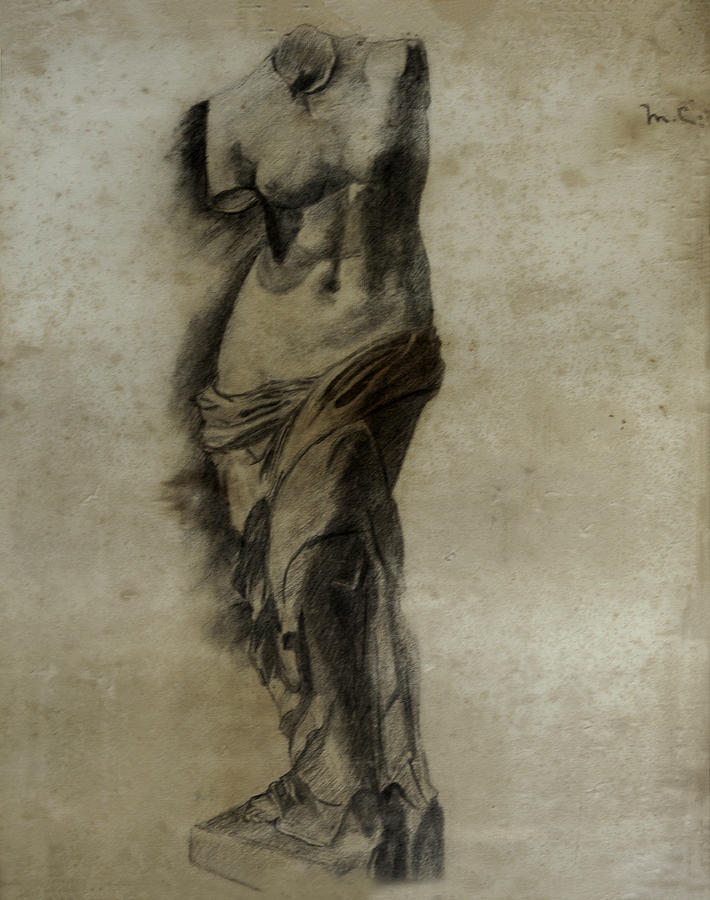 710x900 Venus De Milo Study Drawing By Lynn Palmer - Venus De Milo Sketch
