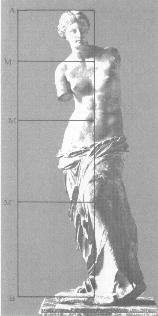 517x1029 Venus Milo How To Draw Proportions - Venus De Milo Sketch