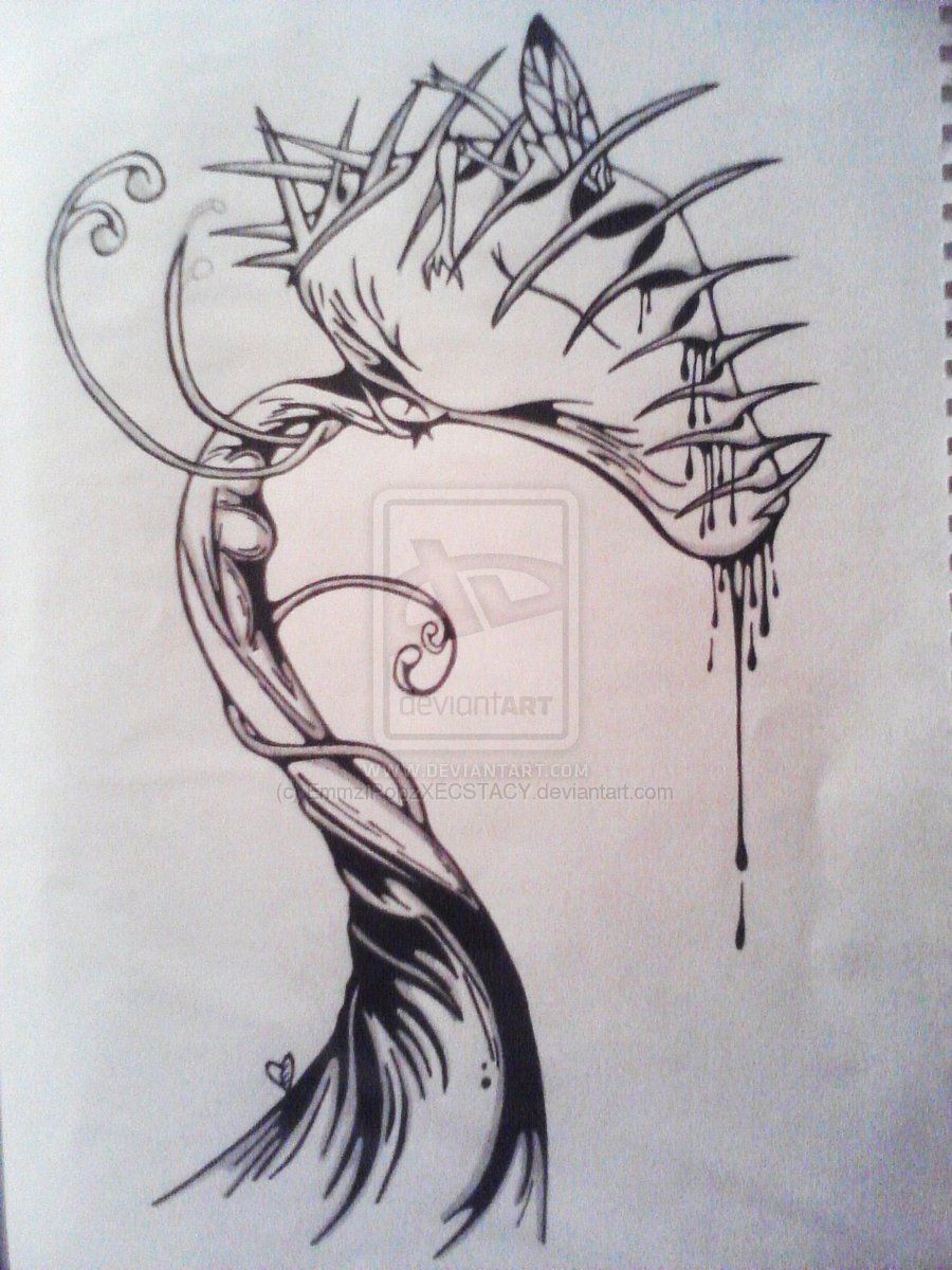 900x1200 Venus Fly Trap - Venus Fly Trap Sketch