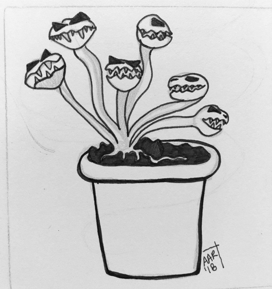 1130x1200 Venusflytrap Hashtag On Twitter - Venus Fly Trap Sketch