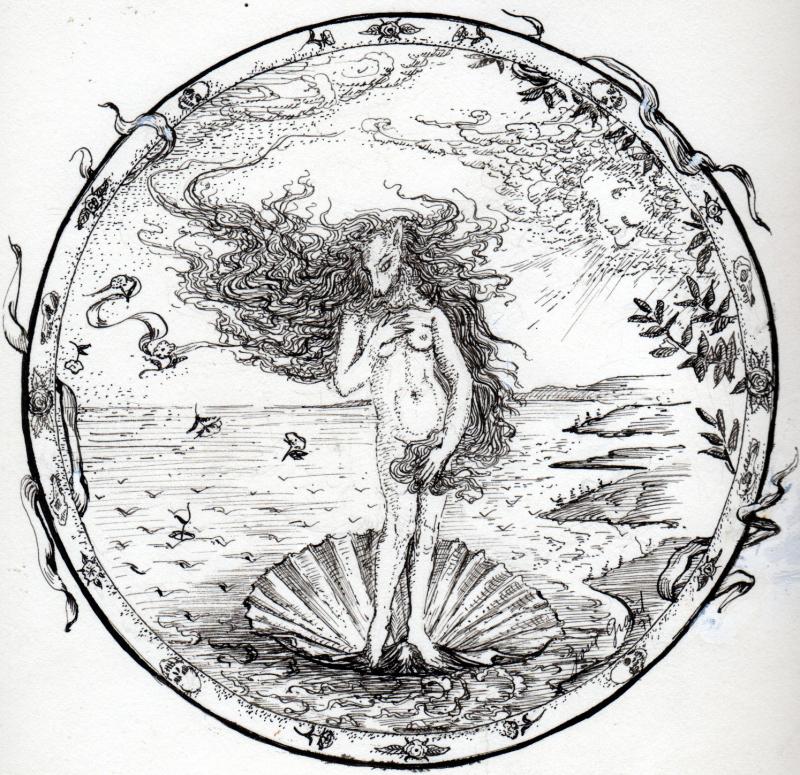 800x775 Up Against The Wall Murals - Venus Sketch