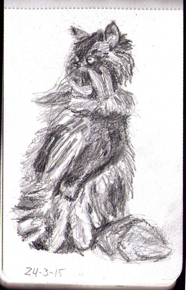 615x960 Drawing Of A Very Fluffy And Vertical Cat Called Angel Eyes In - Vertical Sketch