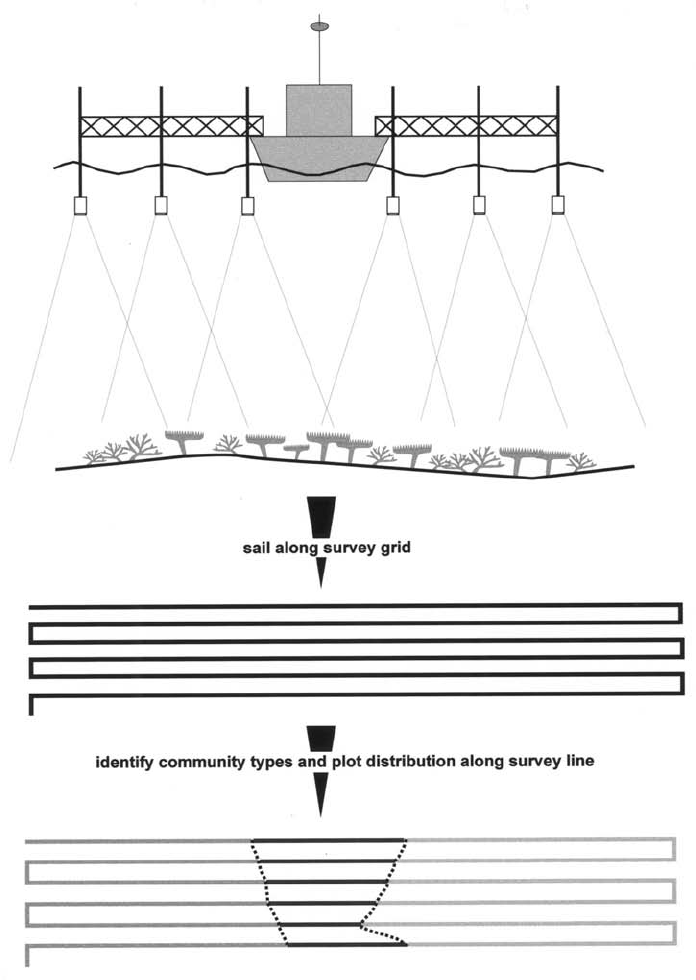 696x980 Overview Sketch Of The Survey Technology. The Vessel Is Shown With - Vessel Sketch