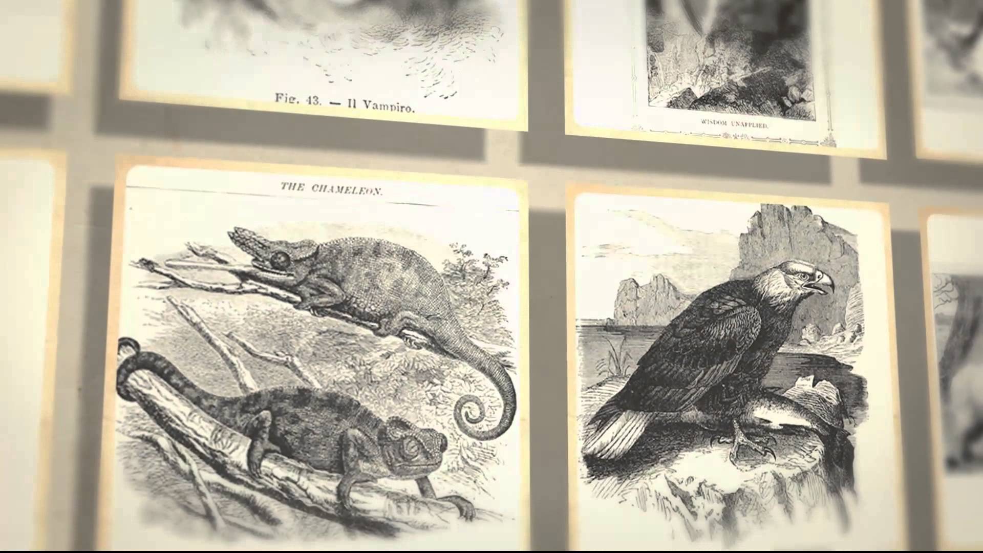 1920x1080 Vintage Animal Sketches - Victorian Sketches