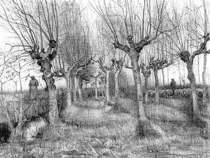 700x525 Vincent Van Gogh Tree Drawings - Vincent Van Gogh Sketches