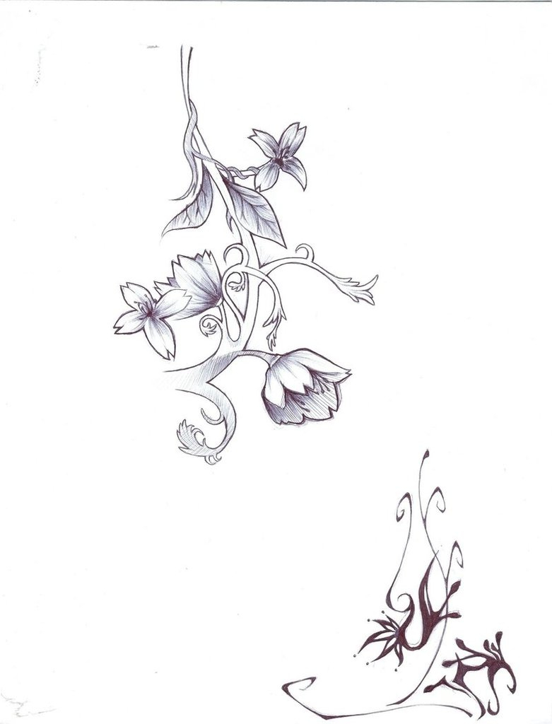 781x1024 Flower Vine Sketch Flower Vine Sketchtmt89 - Vine Sketch