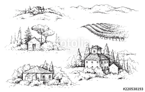 500x317 Rural Scene With Houses, Vineyard And Trees Sketch Stock Image - Vineyard Sketch