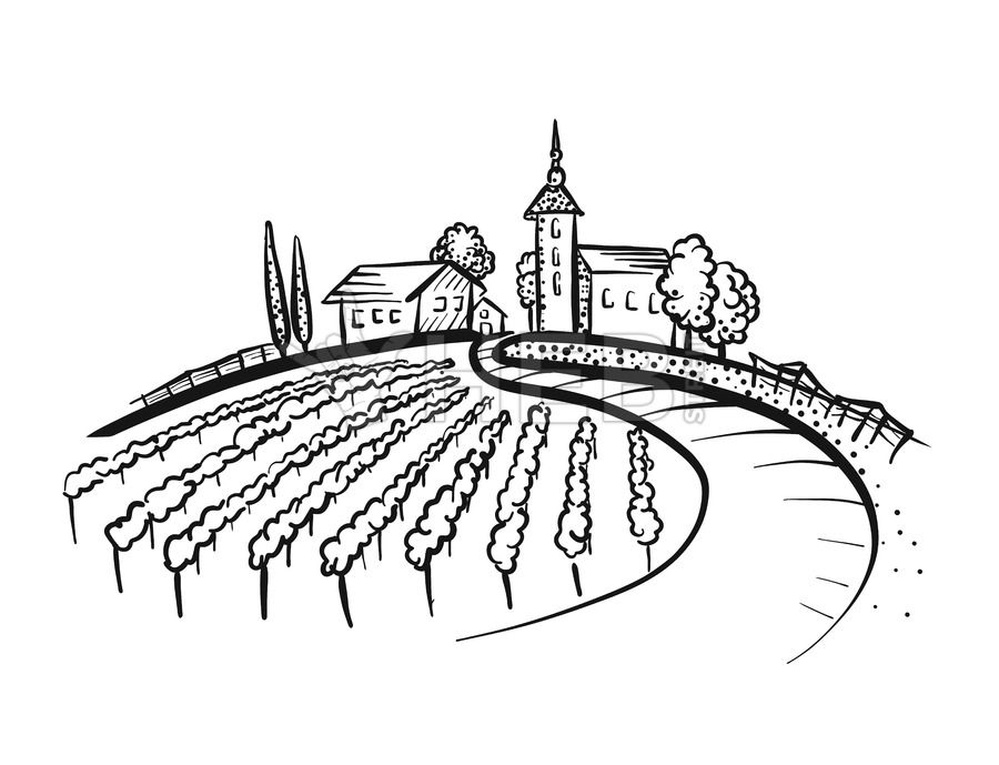 900x689 Vineyard Drawing With Path And Houses On Hill Bullet Journal - Vineyard Sketch