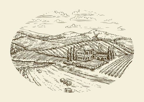 492x349 Vineyard Hand Drawn Vintage Sketch Agriculture, Farming, Farm - Vineyard Sketch