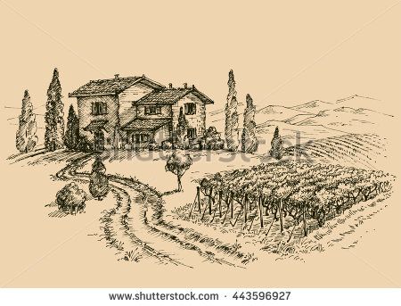 450x343 Vineyard Drawing. Traditional Farm Sketch - Vineyard Sketch