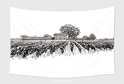 425x289 Home Decor Tapestry Wall Hanging Vineyard Landscape - Vineyard Sketch
