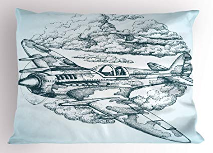 425x305 Ambesonne Airplane Pillow Sham, Plane In The Sky Round - Vintage Airplane Sketch