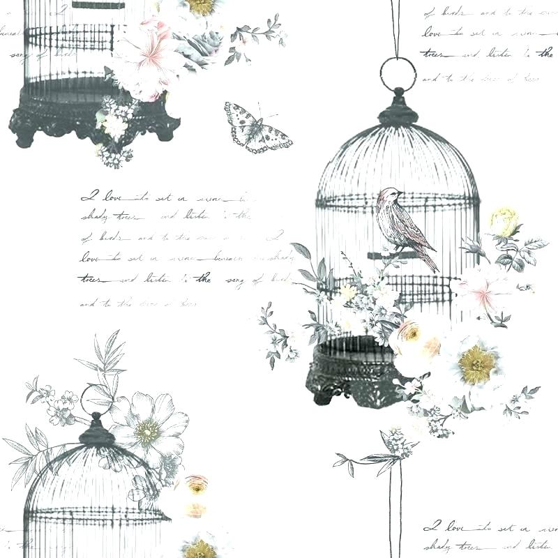 800x800 Vintage Bird Wallpaper Birds Phone Antique Ostton - Vintage Bird Sketch