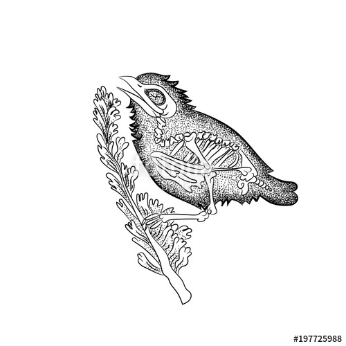 500x500 Vintage Retro Vintage Style Engraving. The Skeleton Of A Test Bird - Vintage Bird Sketch