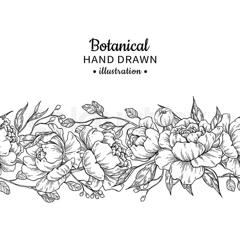 800x800 Floral Seamless Vintage Border. Vector Peony And Roses Botanical - Vintage Floral Sketch