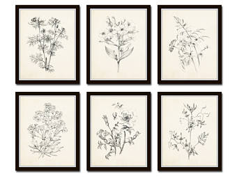 340x270 Flower Sketch Etsy - Vintage Floral Sketch