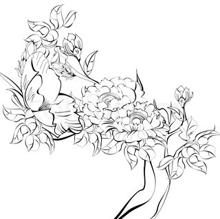 320x319 Vintage Floral Background Stock Vector Colourbox - Vintage Floral Sketch