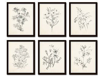 340x270 Flower Sketch Etsy - Vintage Flower Sketch