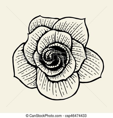 450x470 Rose Flower Sketch. Rose Flower. Vintage Grunge Marriage Design - Vintage Flower Sketch