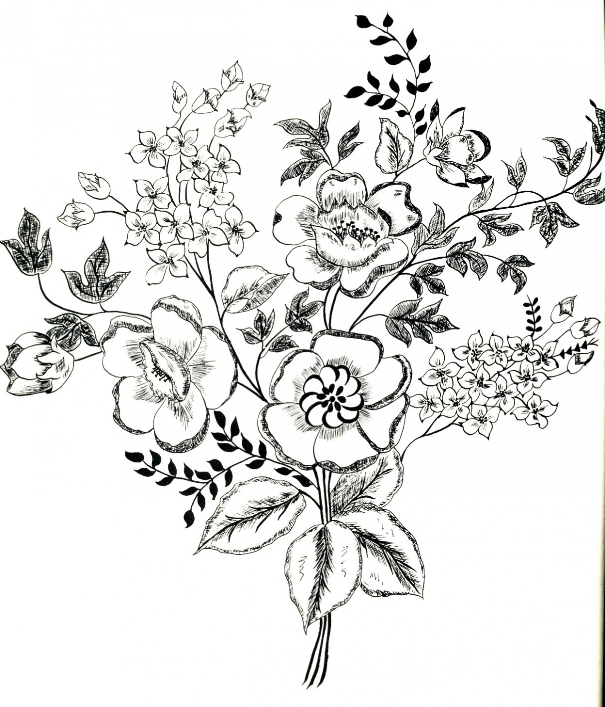 1212x1416 Blooming Sketch Black And White Roses Flowers Detailed Hand Drawn - Vintage Flower Sketch