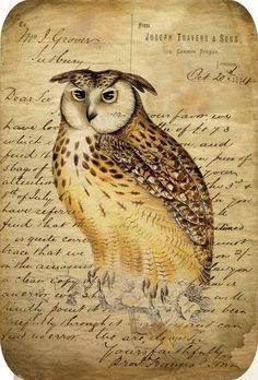 236x348 I Think This Would Be Super Cute As A Tattoo Cell Phone - Vintage Owl Sketch