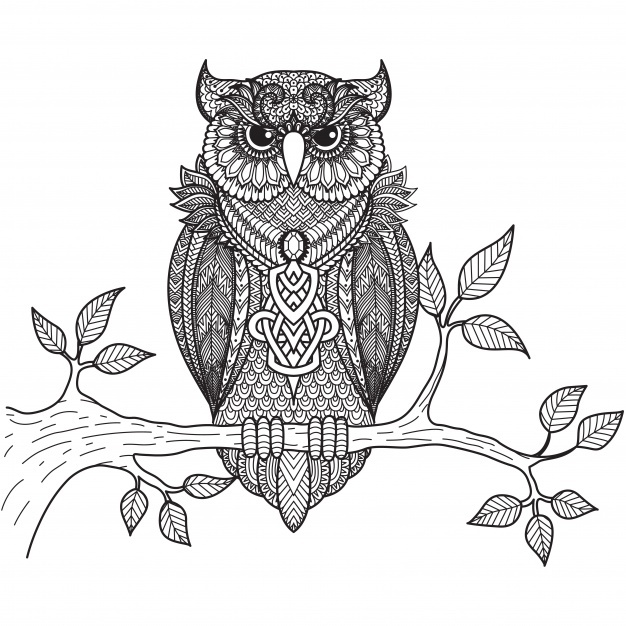 626x626 Owl Vectors, Photos And Psd Files Free Download - Vintage Owl Sketch