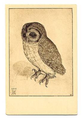 281x400 Vintage Owl Illustrations In The Public Domain Free Vintage - Vintage Owl Sketch